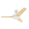 WINDY VE-0004-BLA