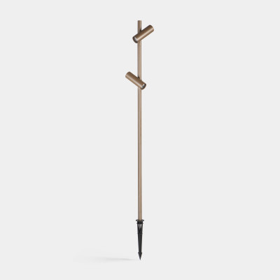 JUNCUS 2 HEAD