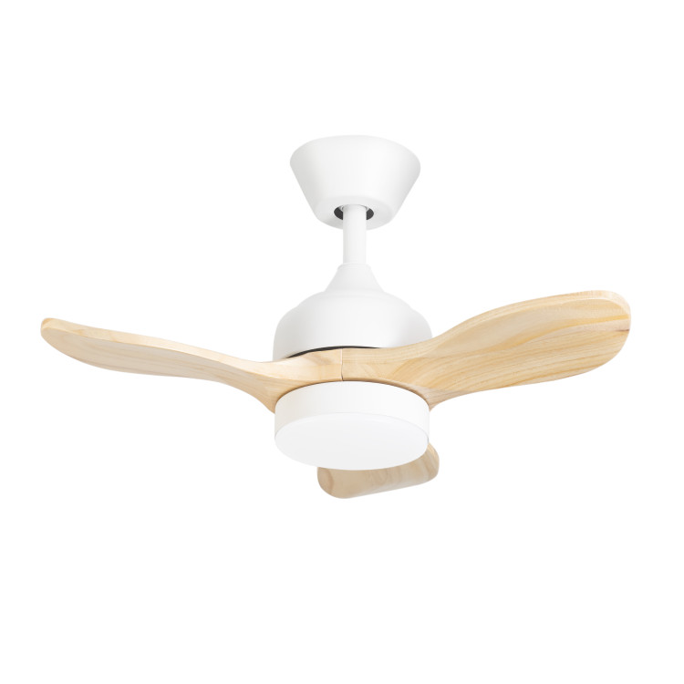 CALAR SMALL VE-0022-BLA