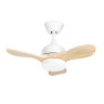 CALAR SMALL VE-0022-BLA