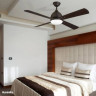 BORNEO VE-0006-MAR