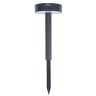 CERO PX-0646-NEG