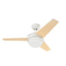 WINDY VE-0005-BLA